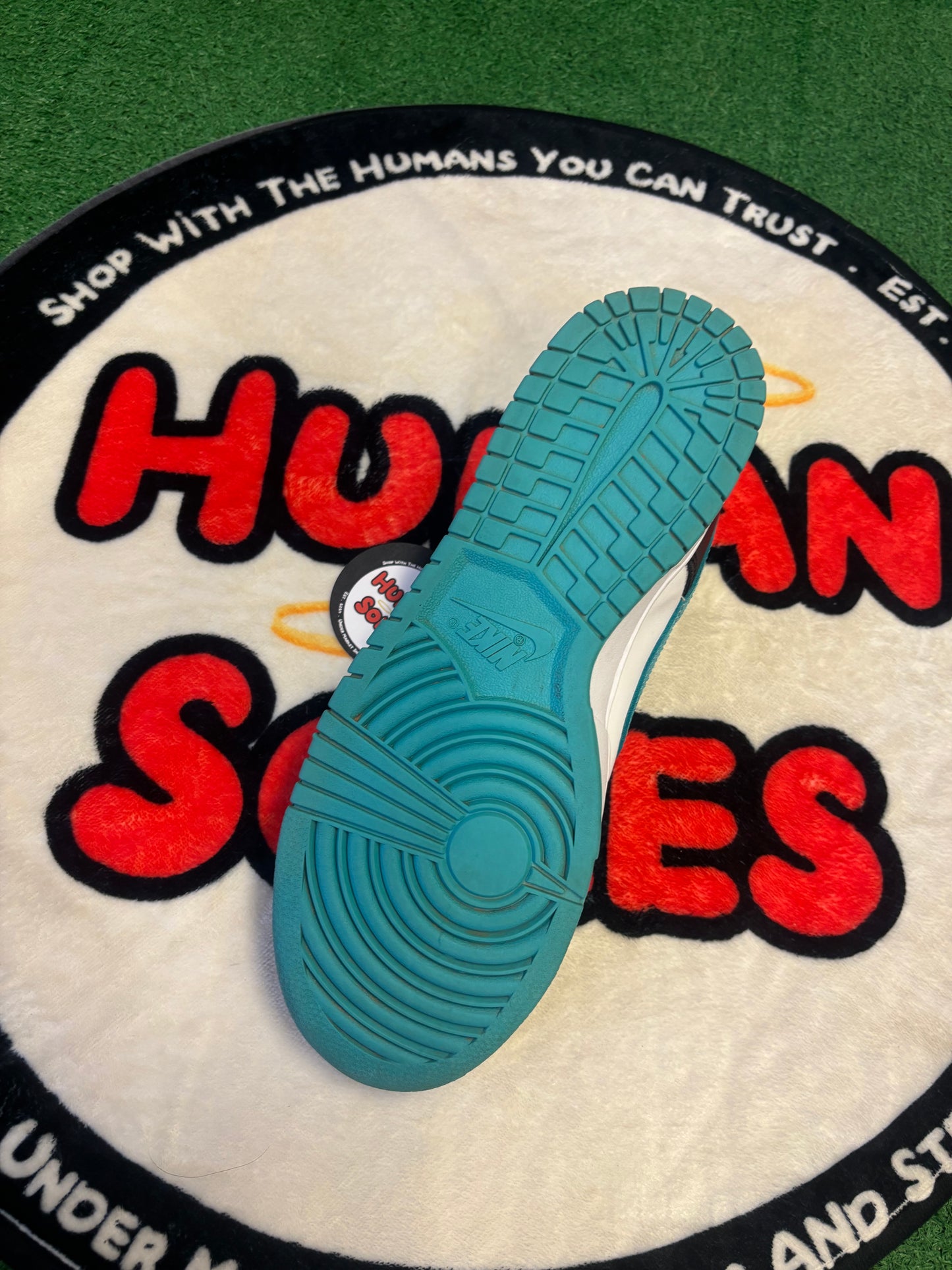 Nike Dunk Low 'Black Dusty Cactus'|Size 10M