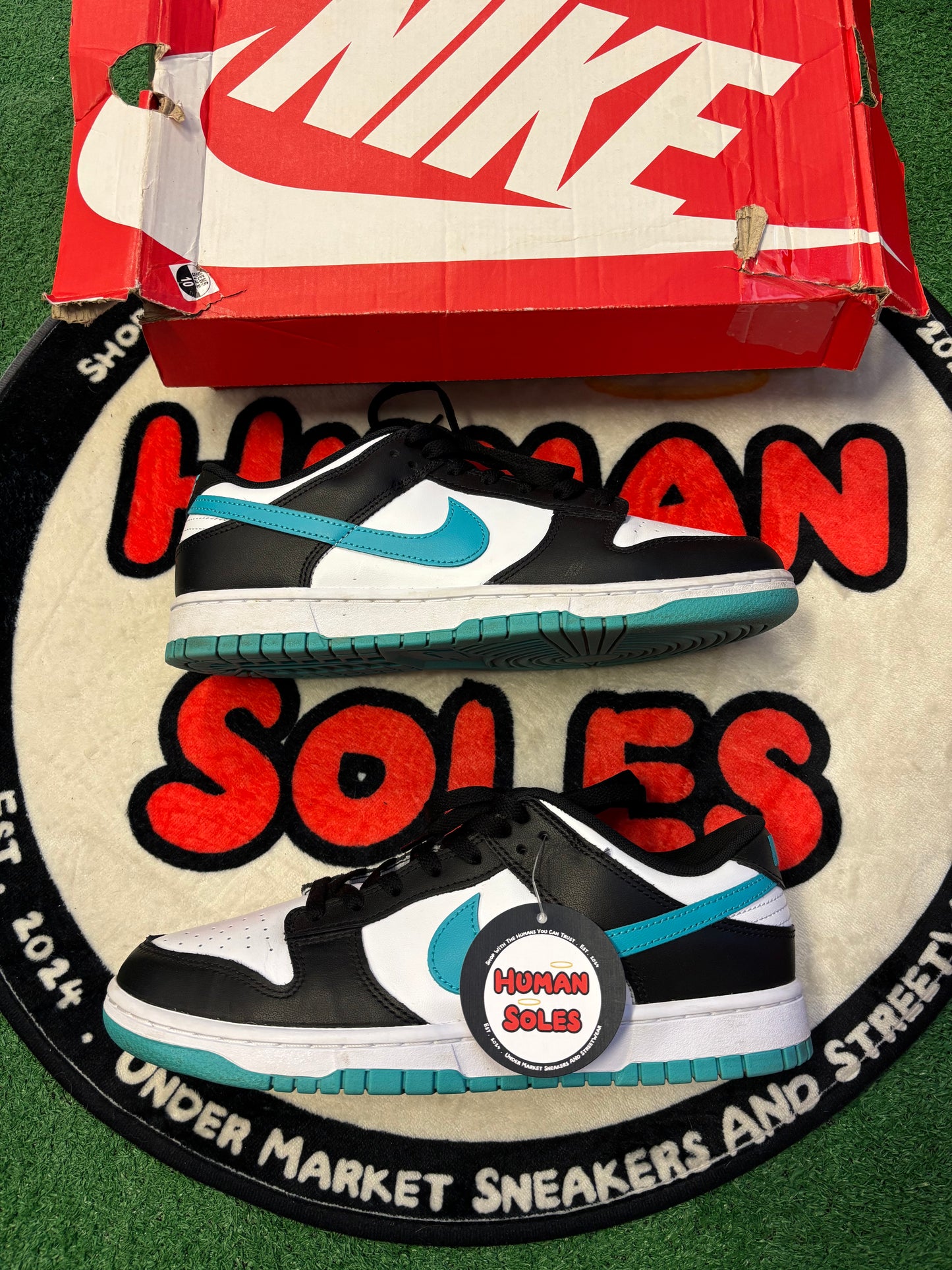 Nike Dunk Low 'Black Dusty Cactus'|Size 10M