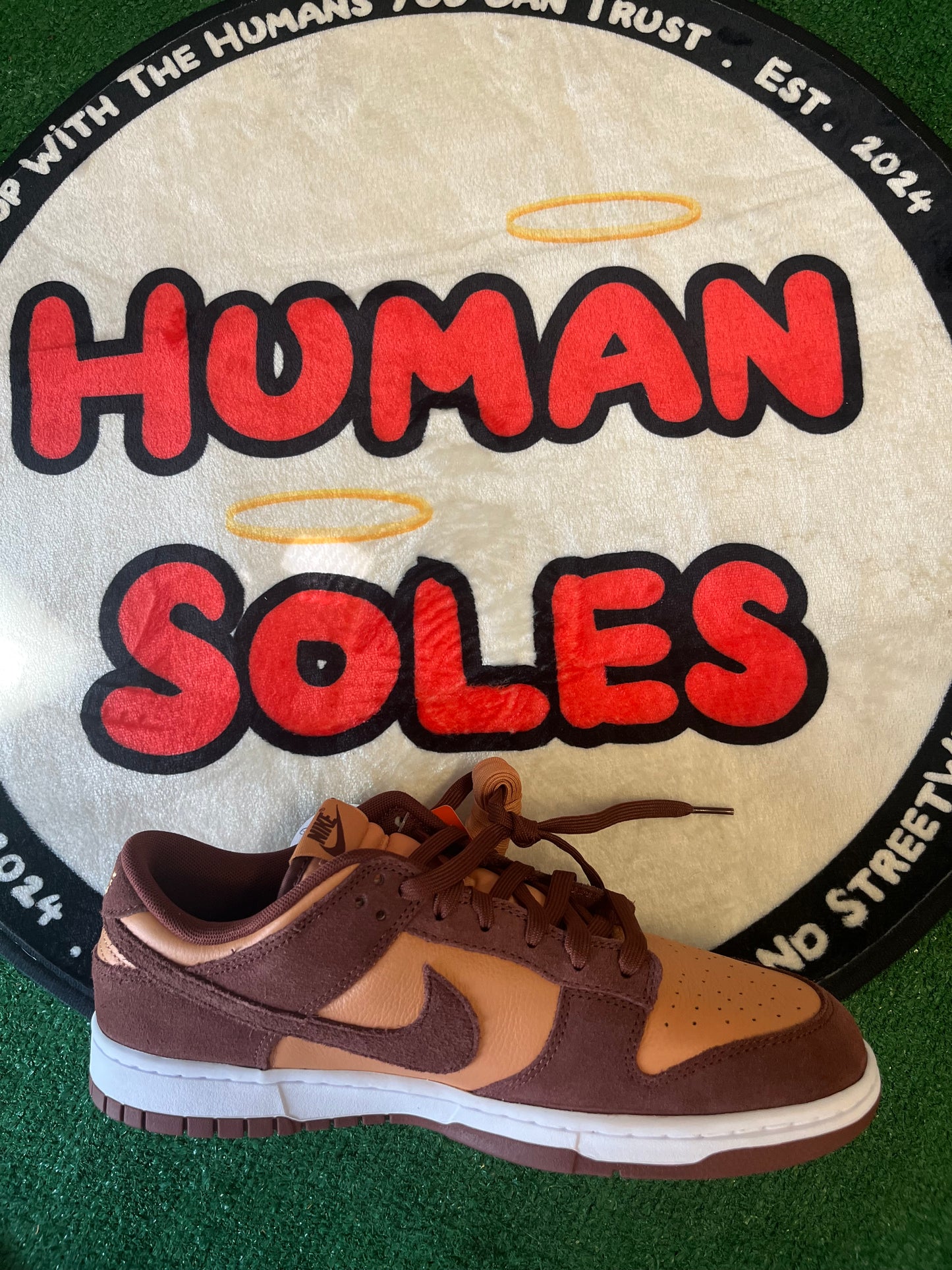 Nike Dunk Low ‘Dark Pony’|Size 11.5