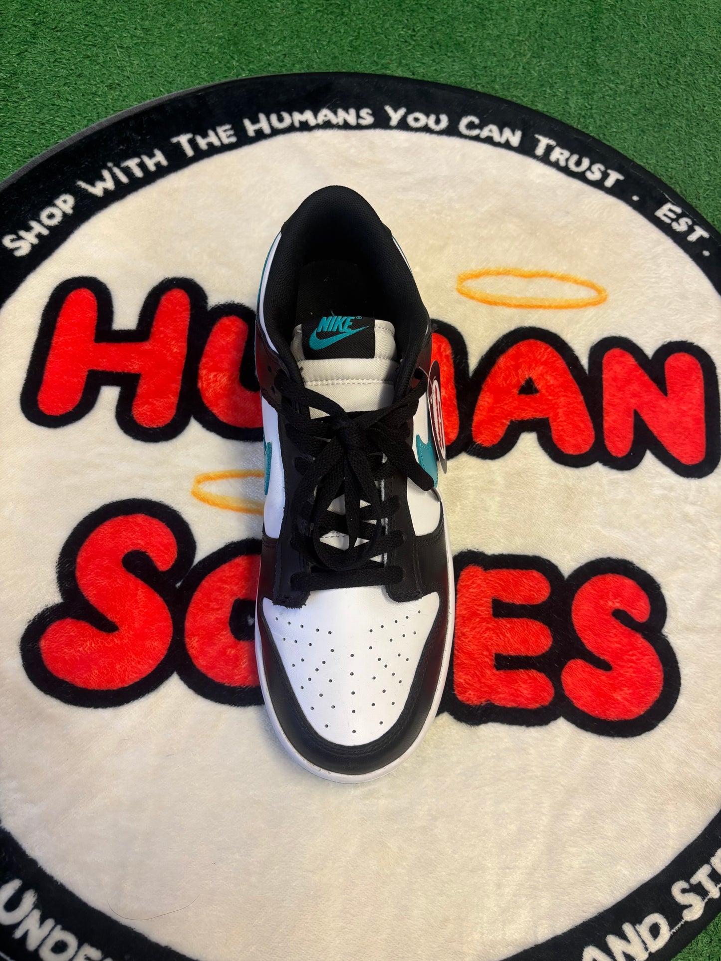 Nike Dunk Low 'Black Dusty Cactus'|Size 10M