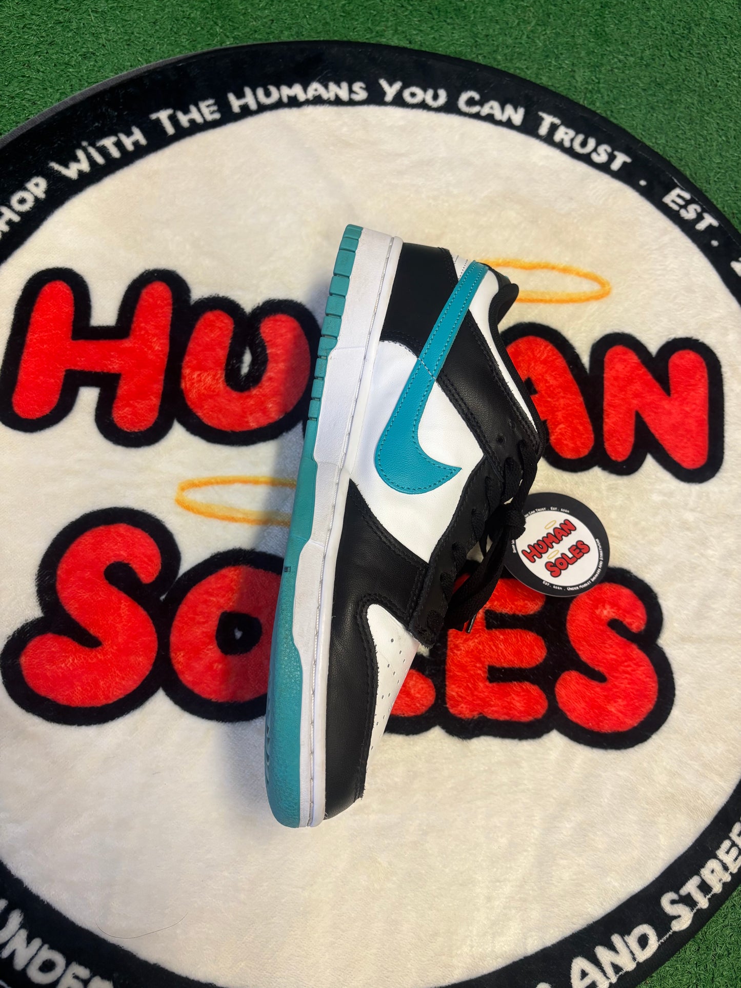 Nike Dunk Low 'Black Dusty Cactus'|Size 10M