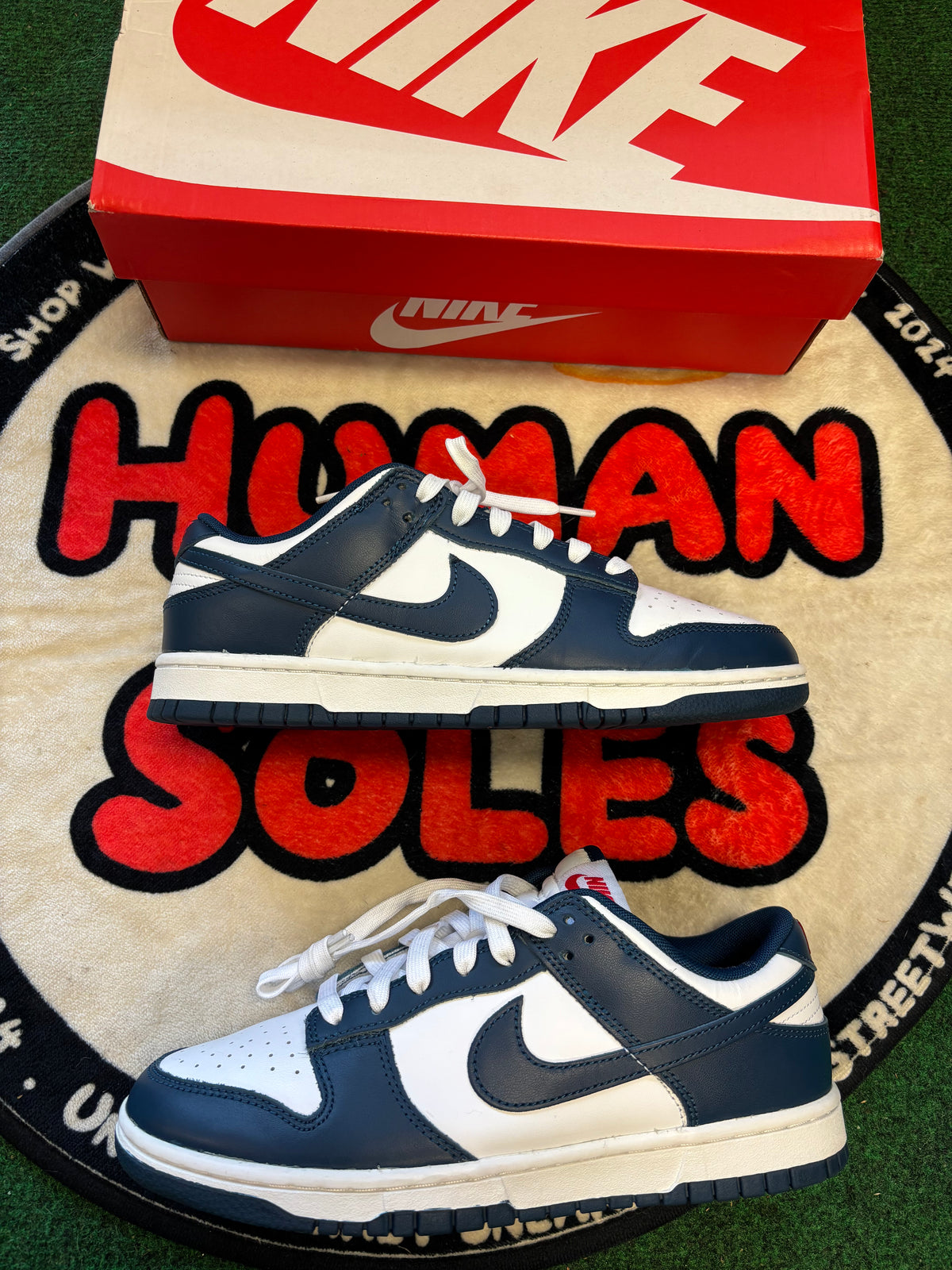 Nike Dunk Low ‘Valerain Blue’|Size 8.5M/10W